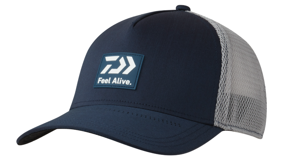 24 DC-9024 Box Logo Cap