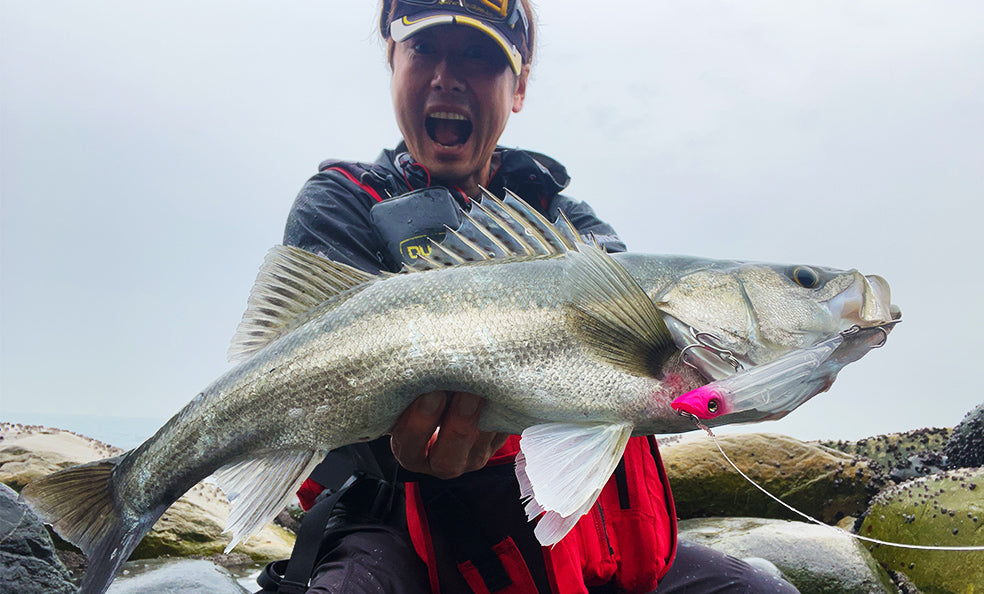 F1254 Aile Magnet TG Darter 105F