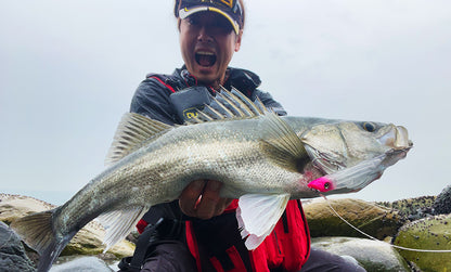 F1254 Aile Magnet TG Darter 105F