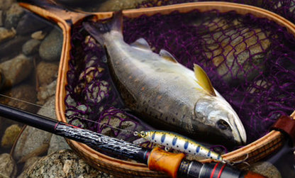 F1289 Hardcore Trout Stoop 50SF