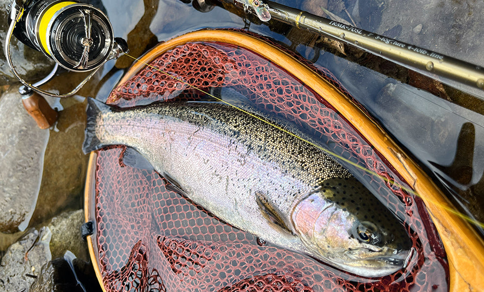F1289 Hardcore Trout Stoop 50SF