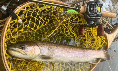 F1261 Hardcore Heavy Trout Heavy Flat 60S
