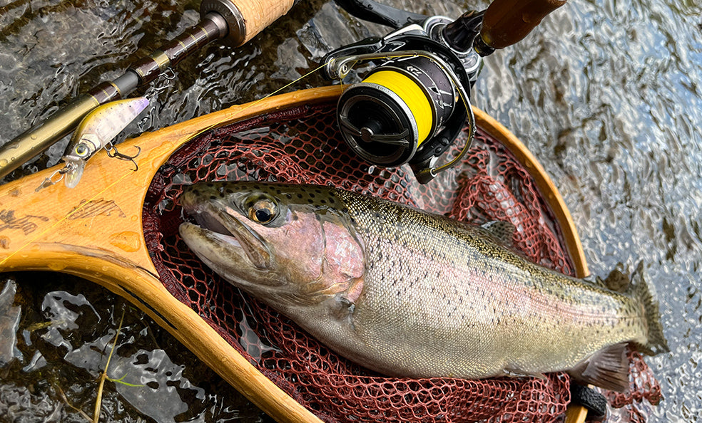 F1261 Hardcore Heavy Trout Heavy Flat 60S