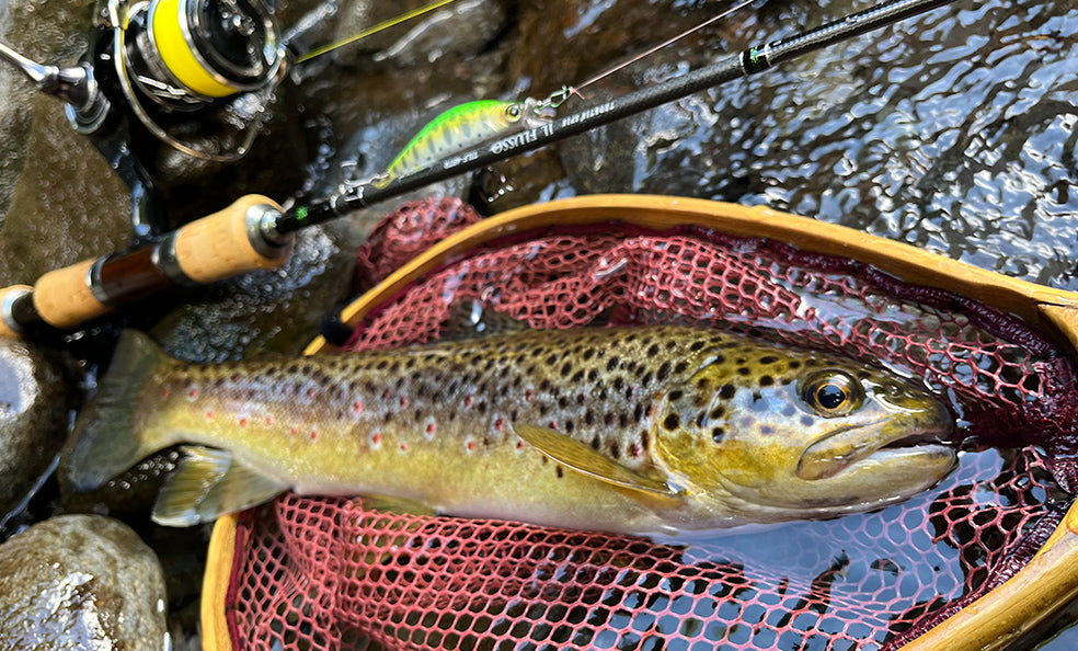 F1261 Hardcore Heavy Trout Heavy Flat 60S