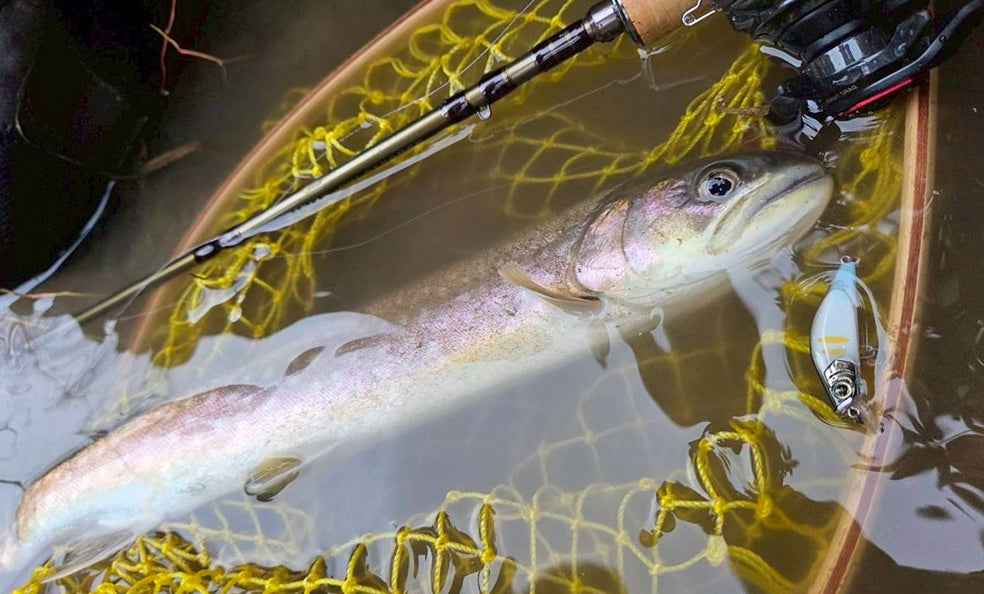 F1261 Hardcore Heavy Trout Heavy Flat 60S