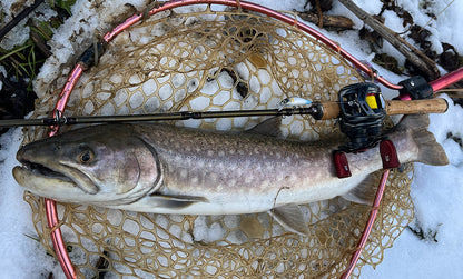 F1263 Hardcore Heavy Trout Heavy Twitch 50S