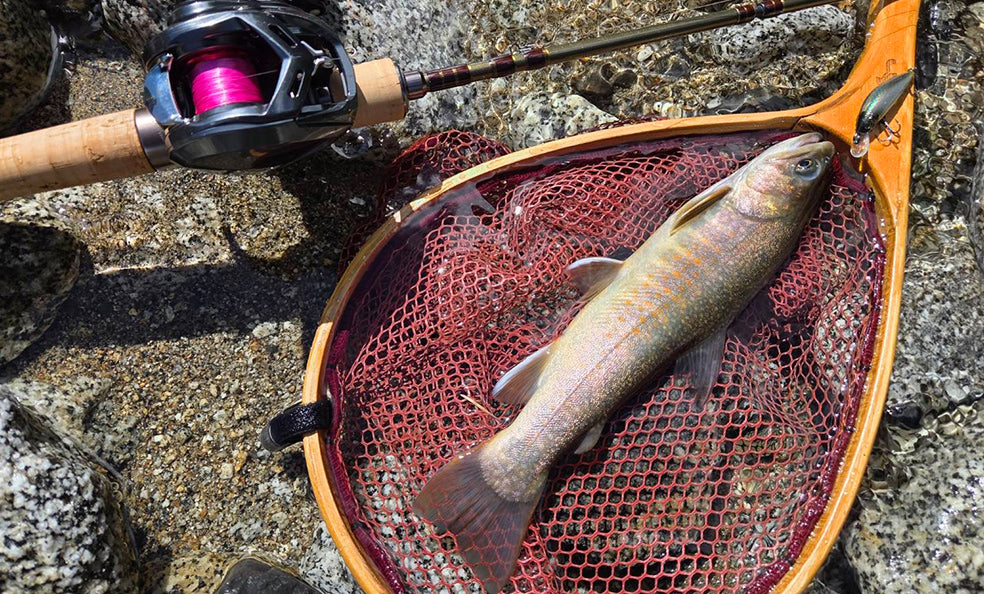 F1263 Hardcore Heavy Trout Heavy Twitch 50S
