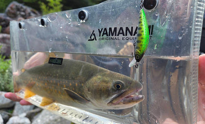 F1263 Hardcore Heavy Trout Heavy Twitch 50S
