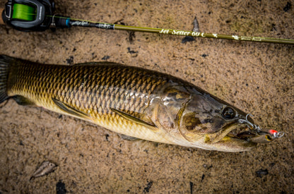 JetSetter 60C Micro Touch (JetSlow×TULALA)