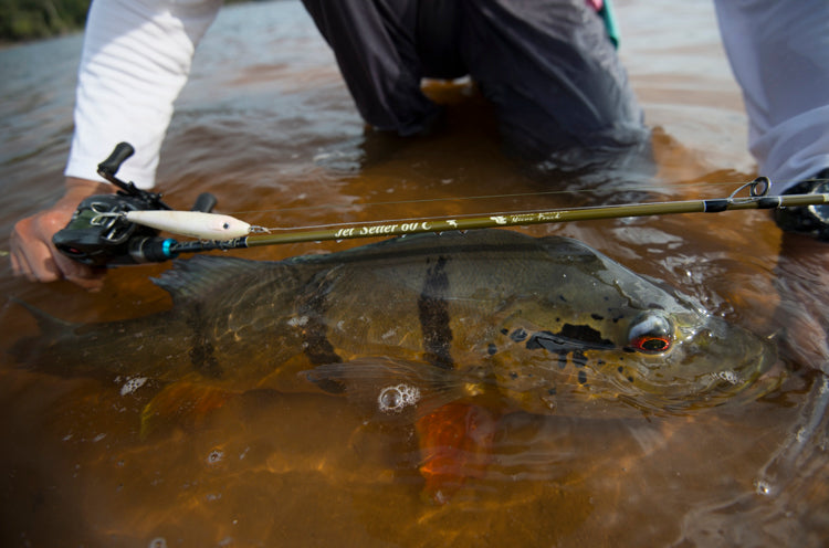 JetSetter 60C Micro Touch (JetSlow×TULALA)