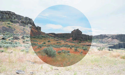 Smith Optics Barra replacement lenses (Polarized)