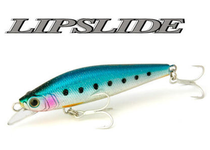 Lip Slide 110mm 38g