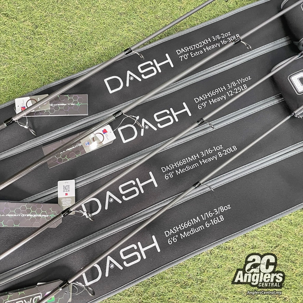 The 1st Model Spin (1pc)