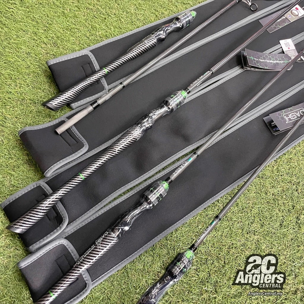 The 1st Model Spin (1pc)