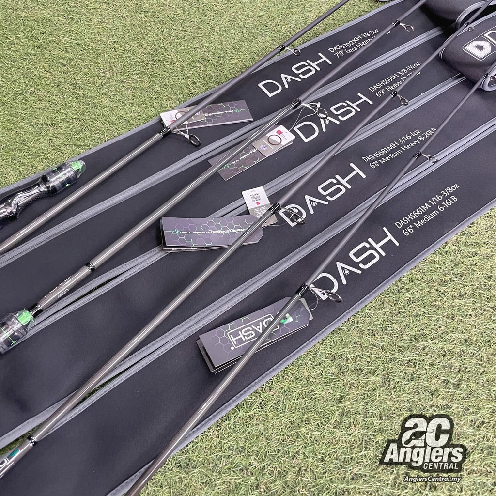 The 1st Model Spin (1pc)