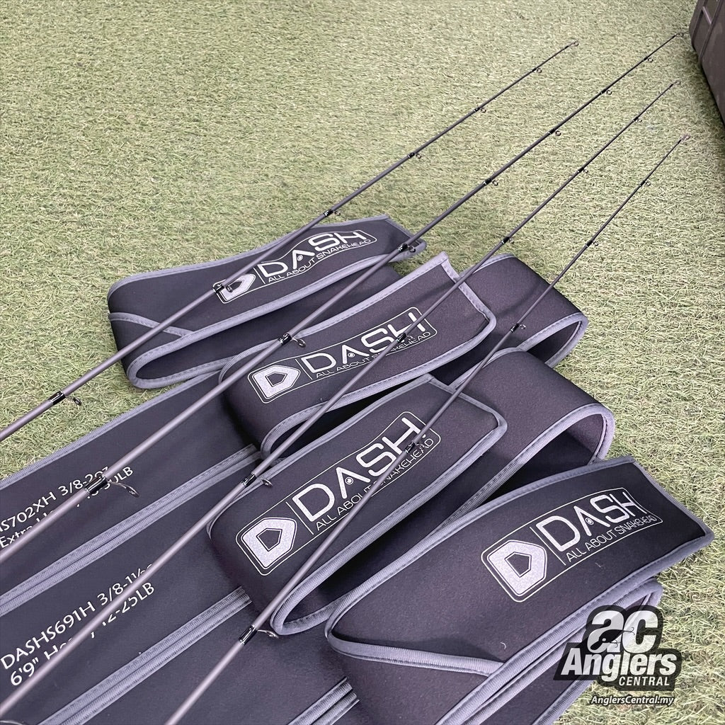 The 1st Model Spin (1pc)