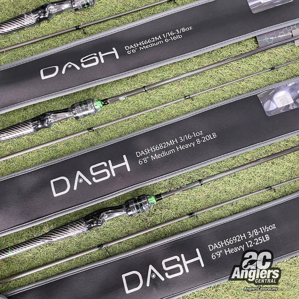 The 1st Model Spin (2pc)