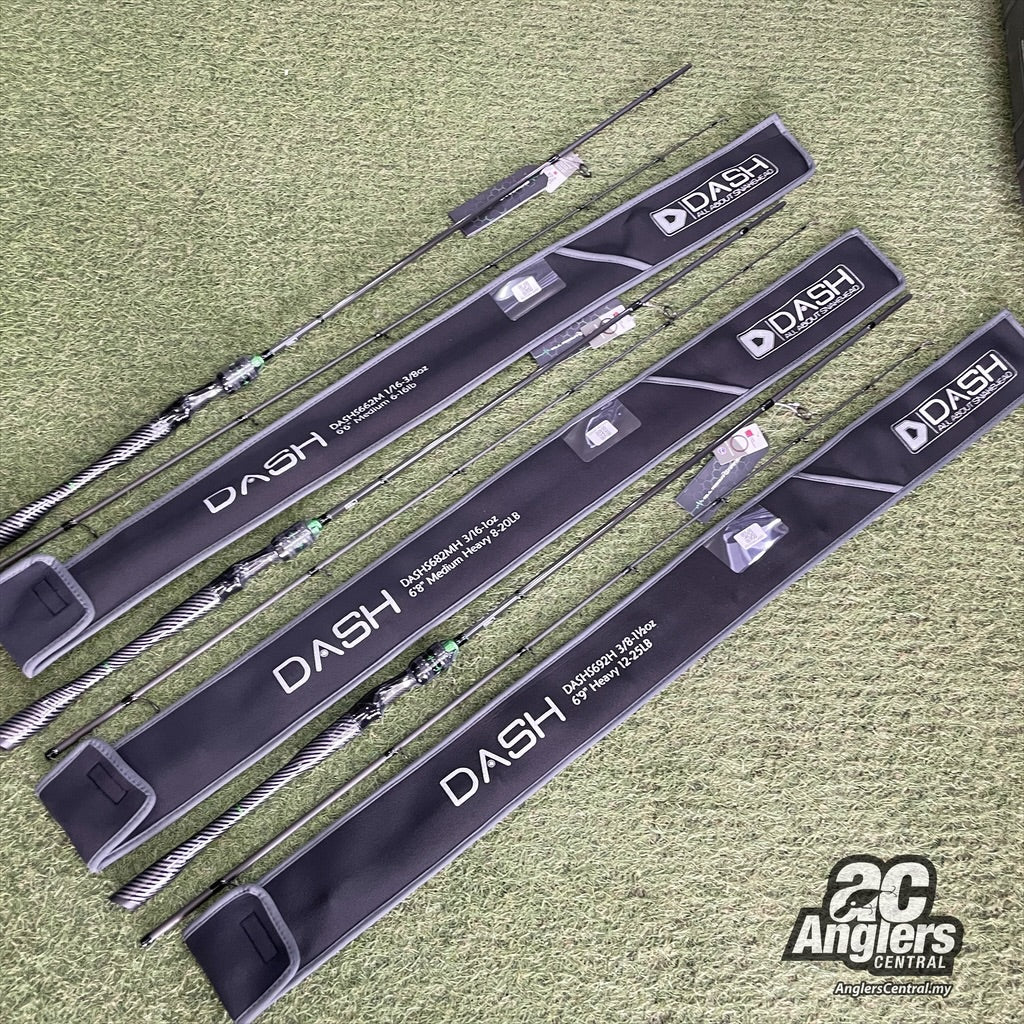 The 1st Model Spin (2pc)