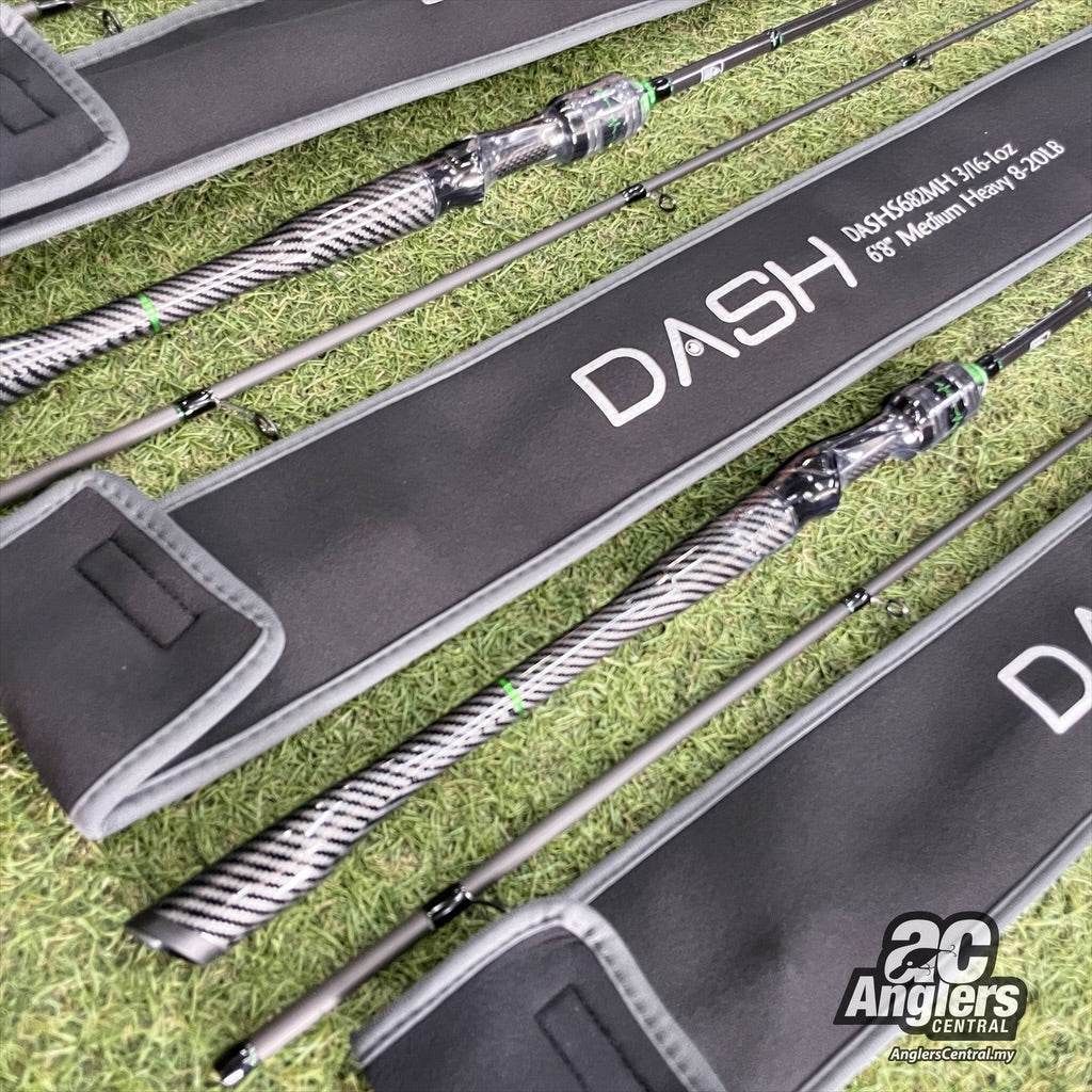 The 1st Model Spin (2pc)