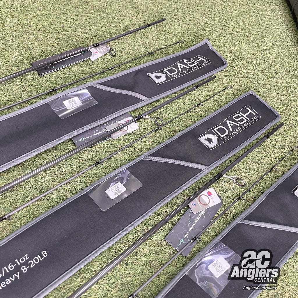 The 1st Model Spin (2pc)