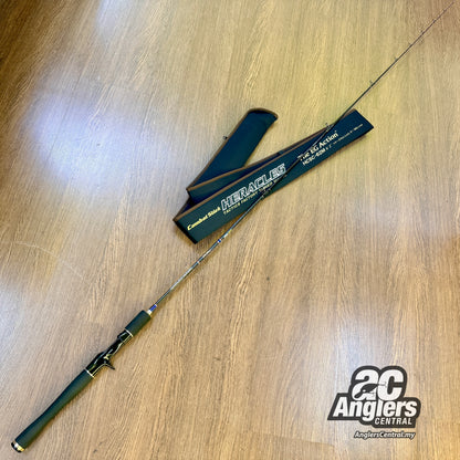 Heracles The EG Action HCSC-62M 8-16lb (USED, 9.5/10) with rod bag/sleeve