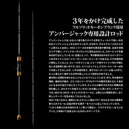Renegade Bait Jigging Rod