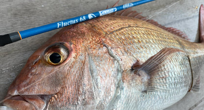 Fluctus S68ML(Flightex)