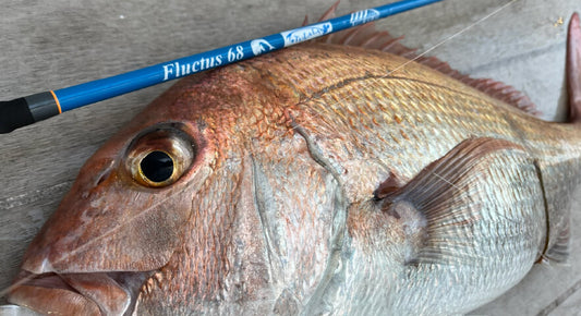 Fluctus S68ML(Flightex)