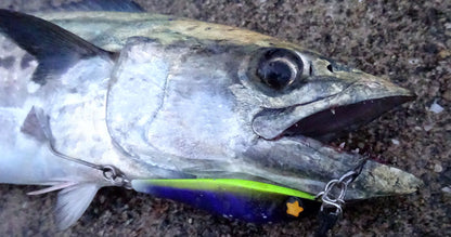 Pachapy Jig 40g J256