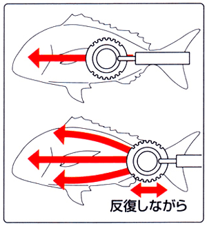 Ginrin Fish Scale Remover (USED) made in Japan