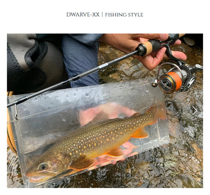 Dwarve-XX (BC & Spin)