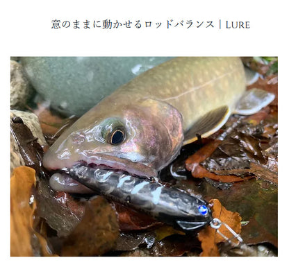 Dwarve-XX (BC & Spin)