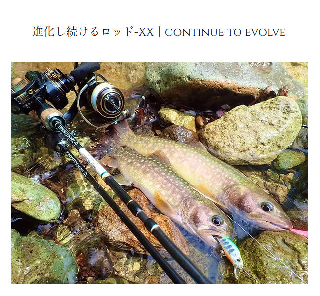 Dwarve-XX (BC & Spin)