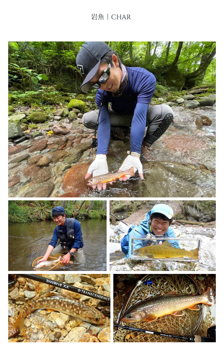 Dwarve-XX (BC & Spin)