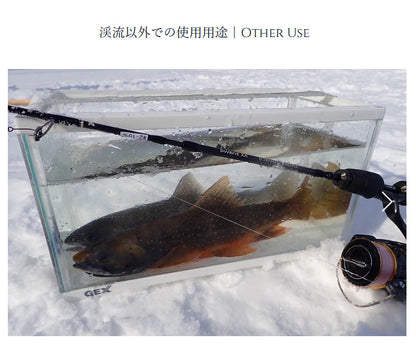 Dwarve-XX (BC & Spin)