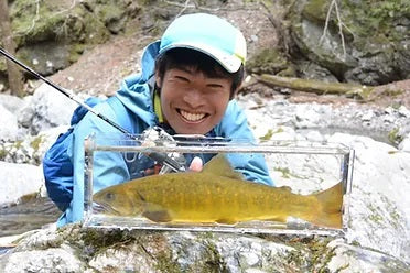 Dwarve-XX (BC & Spin)