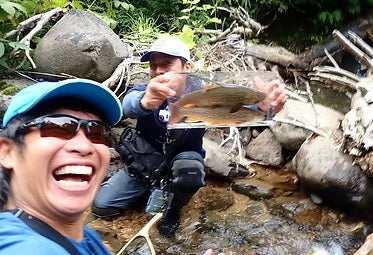 Dwarve-XX (BC & Spin)