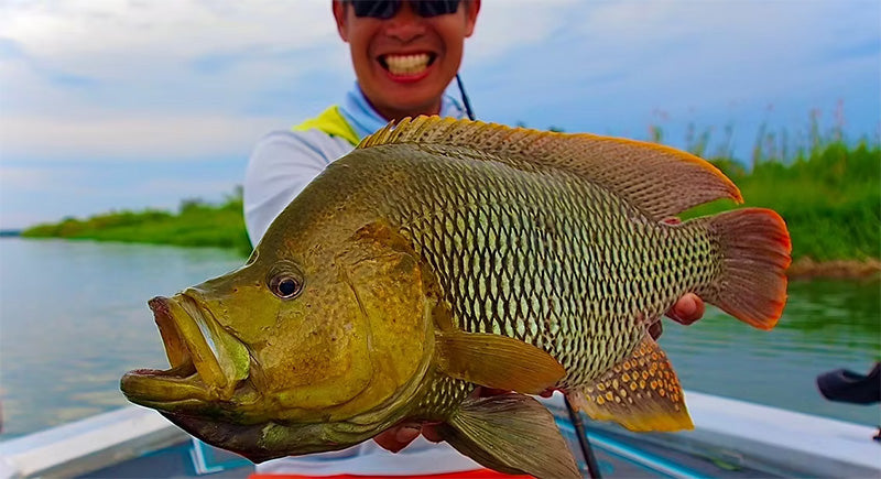 LateBloomings Zinia56+