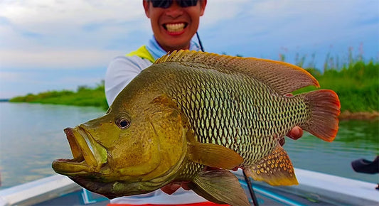 LateBloomings Zinia56+