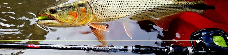 LateBloomings Zinia56+