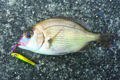 Salty Stage Micro Jig Slim 3g