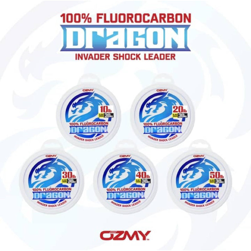 Dragon 100% Fluorocarbon Leader