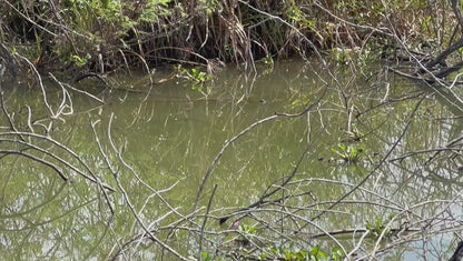 Sky Walker 10cm 18.17g