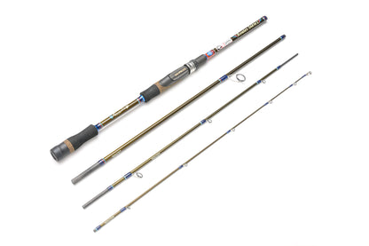 Routes S68ML(Flightex)