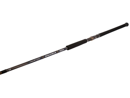 26 Saltiga C Bullswing 80-10