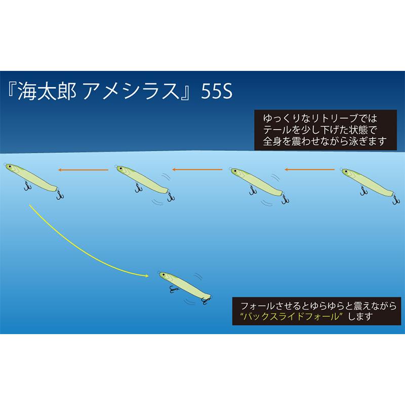 Umitaro Ameshirasu 55 3.5g