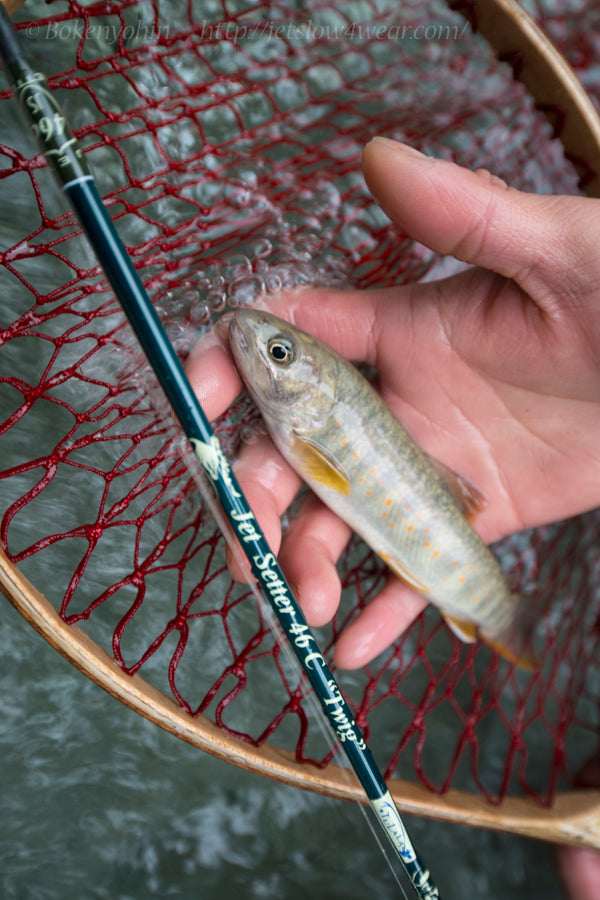 ジェットセッター　46c TWIG Jet Setter 46C [Twig]「冒険用品」