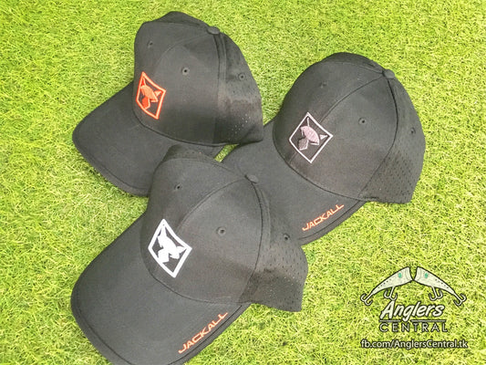 Jackal Square Logo Cap