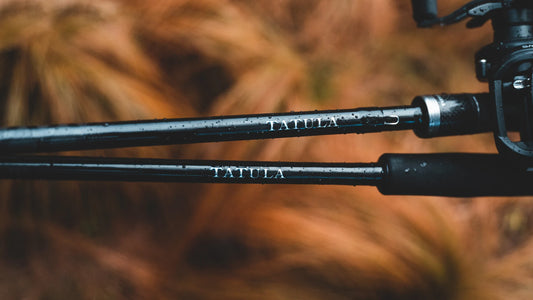 22 Tatula XT Spinning Rod