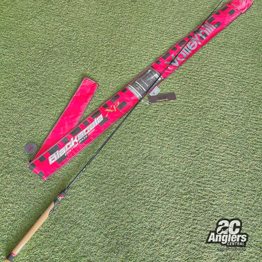 Black Scale XP spinning